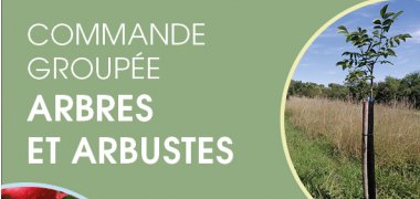 COMMANDE GROUPÉE - ARBRES ET ARBUSTES