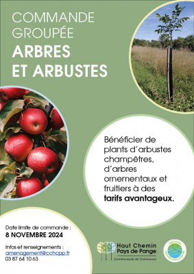 COMMANDE GROUPÉE - ARBRES ET ARBUSTES